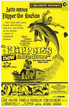 Framed Flipper&#39;s New Adventure Print