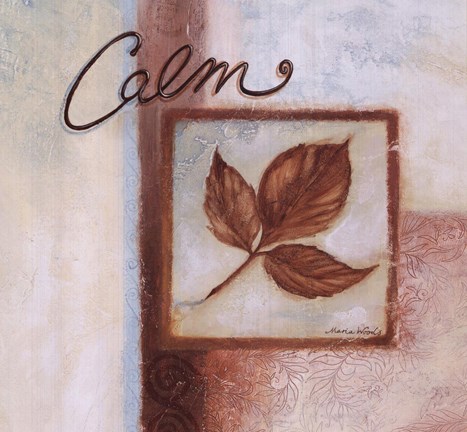 Framed Calm Print