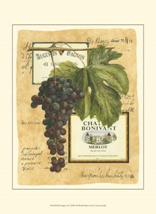 Framed Small Red Grapes II Print