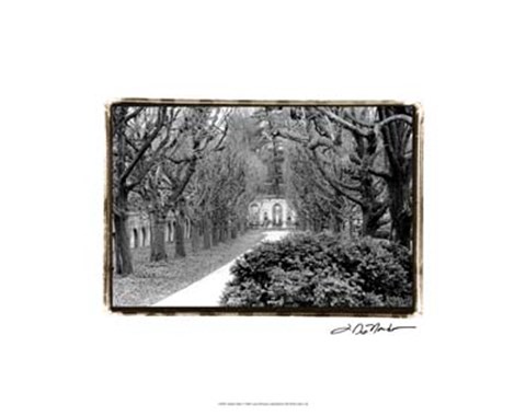 Framed Garden Walk Print