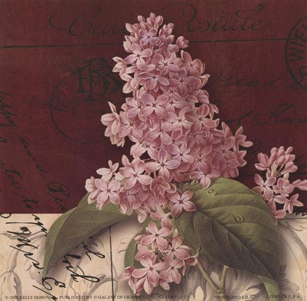 Framed Postcard Lilac Print