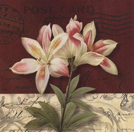 Framed Postcard Lily Print