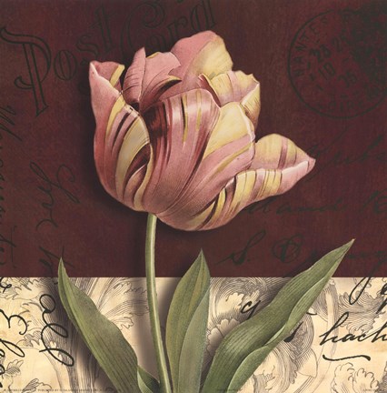 Framed Postcard Tulip Print