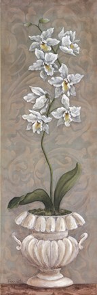 Framed Lavish Orchids II Print