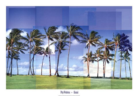 Framed Kauai Print