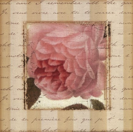 Framed Rose &amp; Romance II Print