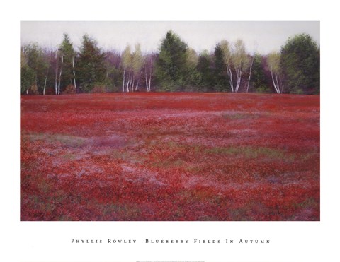 Framed Blueberry Fields in Autumn Print