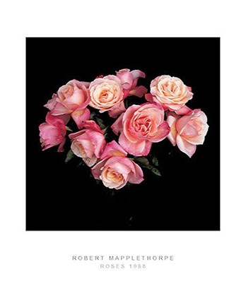 Framed Roses, 1988 Print