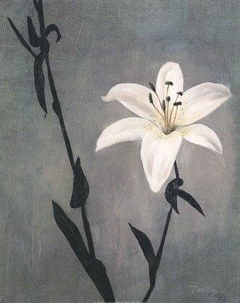 Framed Lily on Grey Print