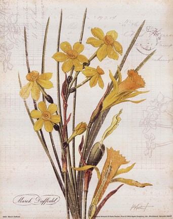 Framed March Daffodil Print