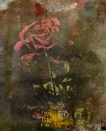 Framed Classic Rose I Print