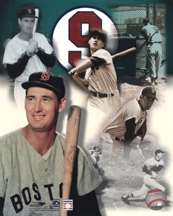 Framed Ted Williams - Legends Of The Game Composite Print