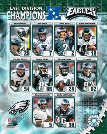Framed Eagles - 2006 NFC East Champions Composite Print