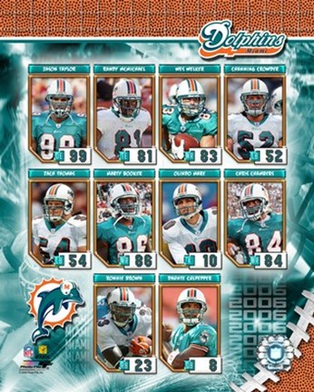 Framed 2006 - Dolphins Team Composite Print