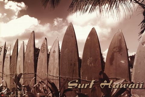 Framed Surf Hawaii Print