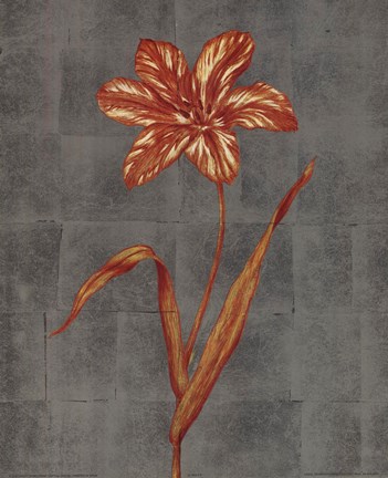 Framed Orange Flower - full bloom Print