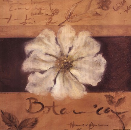 Framed White Flower (brown) Print
