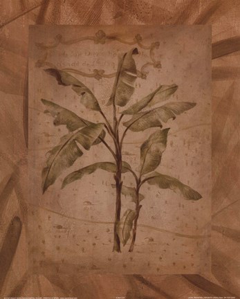 Framed Leaves - brown Print