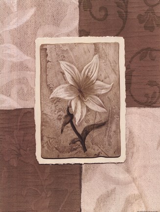 Framed Cream Flower Print