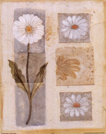 Framed White Flower Montage Print