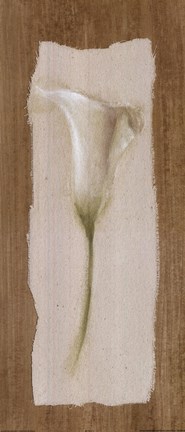 Framed White Cala Lilly Print