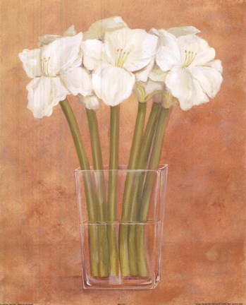 Framed White Flowers In Vase Print