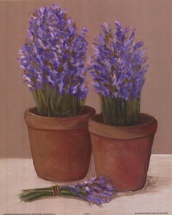 Framed Purple Flowers In Pots Print