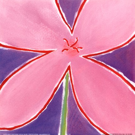 Framed Pink Flower With Purple Background Print