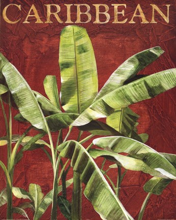 Framed Caribbean Plant Print