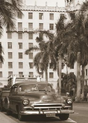 Framed Black Car With Palm Trees Print