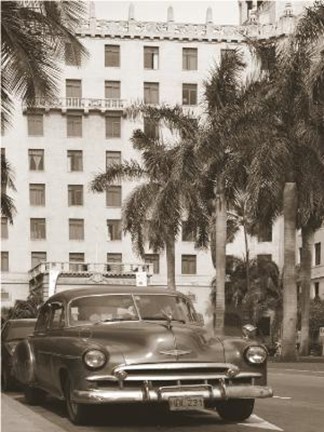 Framed Black Car Palm Trees Print