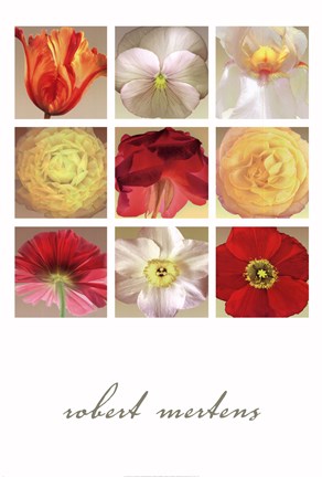Framed Floral Collection Print