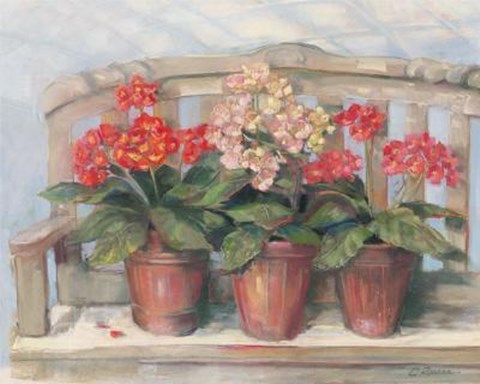 Framed Primroses On Bench Print