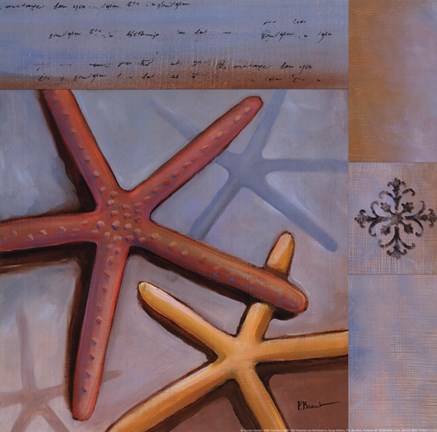 Framed Sanibel Starfish Print