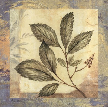 Framed Leaf Botanicals III Print