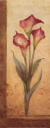 Framed Grandiflora III - Petite Print