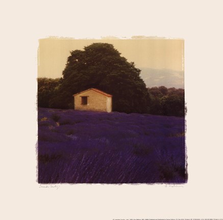 Framed Lavender Country - Mini Print