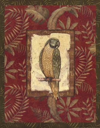 Framed Exotica Parrot Print