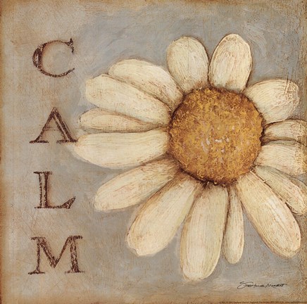 Framed Calm - Daisy Print