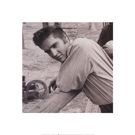 Framed Elvis, 1956 Print
