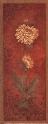 Framed Chrysanthemum - petite Print