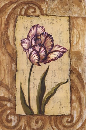 Framed Classic Tulip I Print