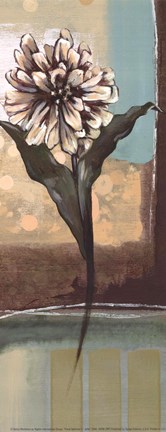 Framed Floral Splendor II - petite Print