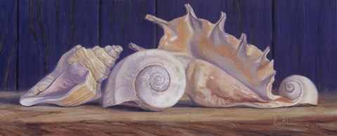 Framed Shells II Print