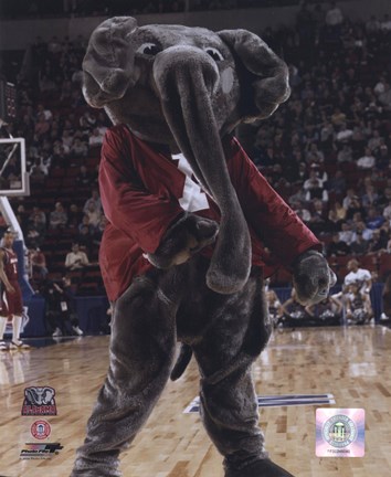 Framed University of Alabama - Crimson Tide Elephant Mascot, 2004 Print