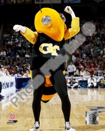 Framed Georgia Tech - Yellowjacket Mascot, 2003 Print