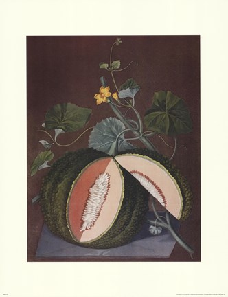 Framed White Seeded Rock Melon Print