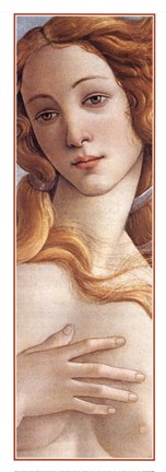 Framed Birth of Venus (detail) Print