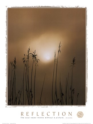 Framed Reflection-Beach Grass Print