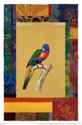 Framed Australian Parrot Print
